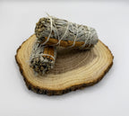 Pau de Sálvia Branca com Canela 10cm (1 unidade)