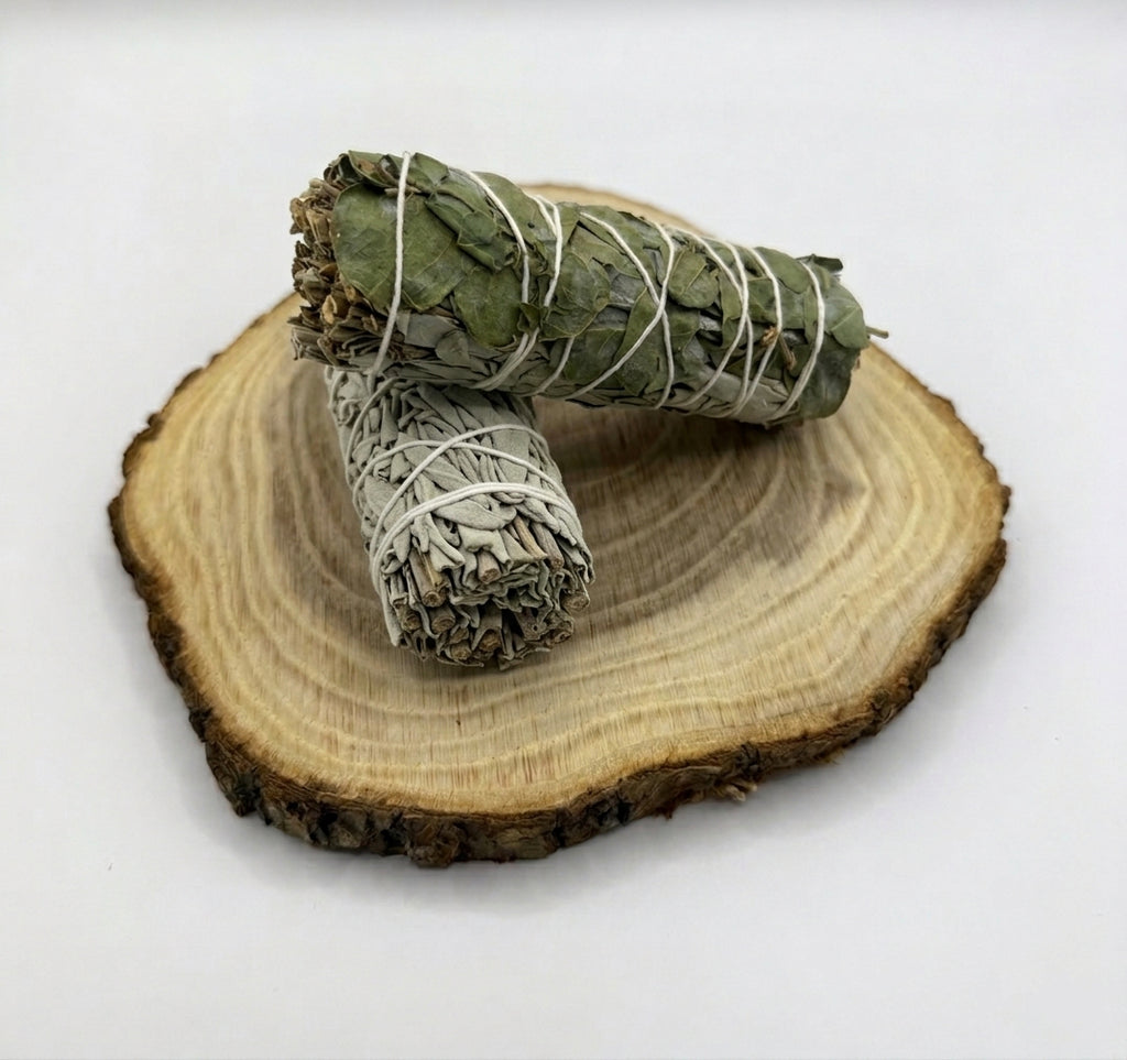 Weißer Salbei-Stick mit Eukalyptus 10cm (1 Stück)