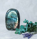 Labradorite AA forme libre 700 à 900g