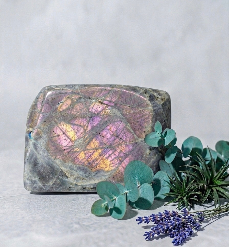 Labradorite Violette AA forme libre 900 à 1100g